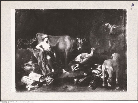 Vorderseite von bh336642_recto