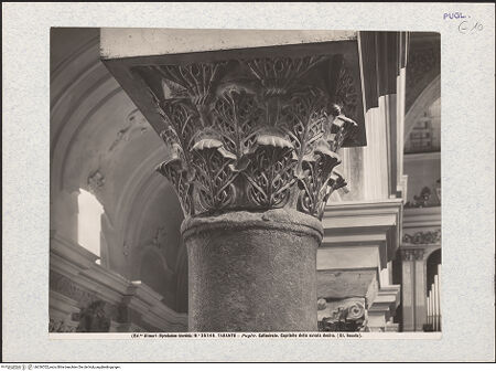 Vorderseite von Alinari [https://www.deutsche-digitale-bibliothek.de/content/lizenzen/rv-ez/] Kapitelle des Langhauses - Kapitell N5 (vor der Restaurierung), bh336702_recto. Foto.