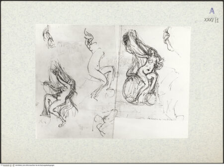 Vorderseite von bh336864_recto