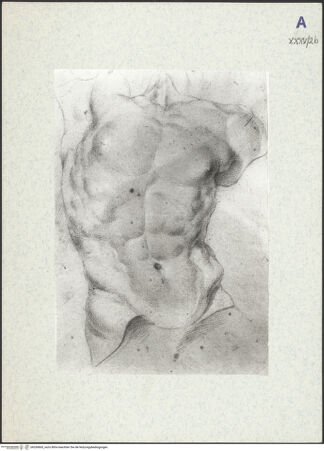 Vorderseite von bh336865_recto