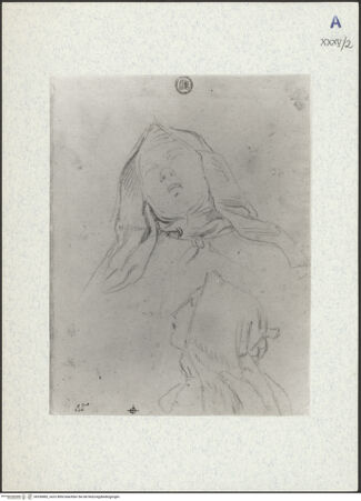 Vorderseite von bh336882_recto