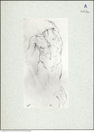 Vorderseite von bh336885_recto