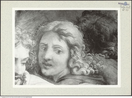 Vorderseite von bh337350_recto