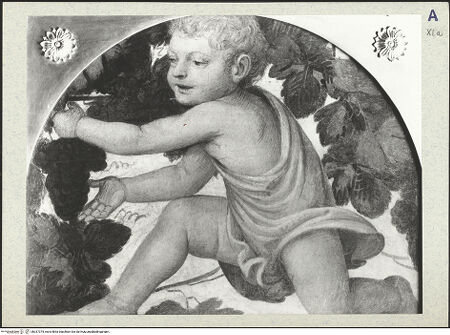 Vorderseite von bh337375_recto