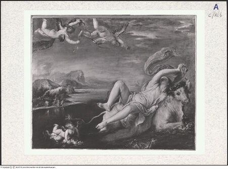 Vorderseite von bh337376_recto