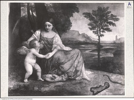 Vorderseite von bh337382_recto