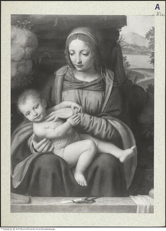 Vorderseite von bh337390_recto