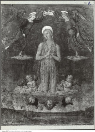 Vorderseite von bh337392_recto