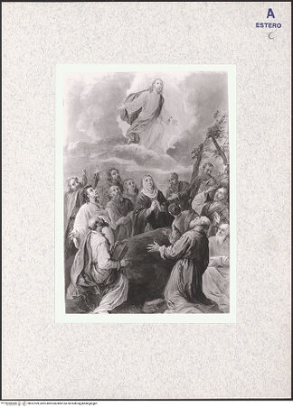 Vorderseite von bh337399_recto