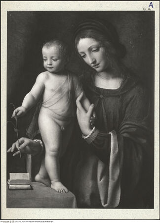 Vorderseite von bh337425_recto