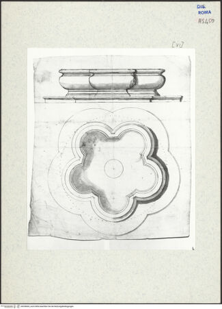 Vorderseite von bh338065_recto