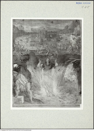 Vorderseite von bh338129_recto