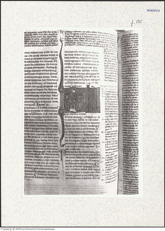 Vorderseite von bh338345_recto