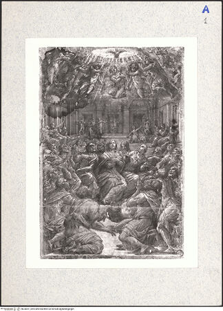 Vorderseite von bh338391_recto