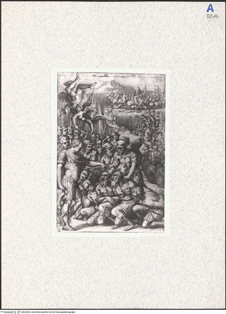 Vorderseite von bh338393_recto