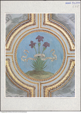 Vorderseite von bh338408_recto