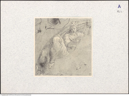 Vorderseite von bh338442_recto