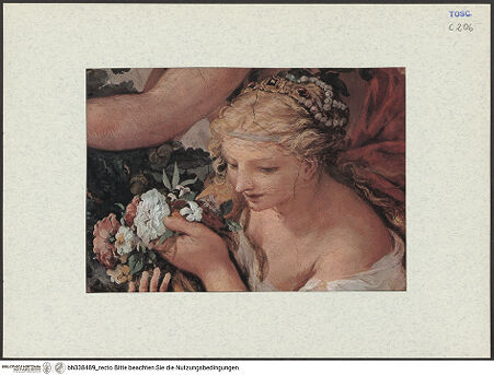 Vorderseite von bh338489_recto