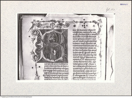 Vorderseite von bh338808_recto