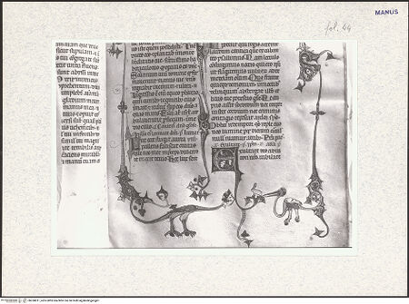 Vorderseite von bh338811_recto