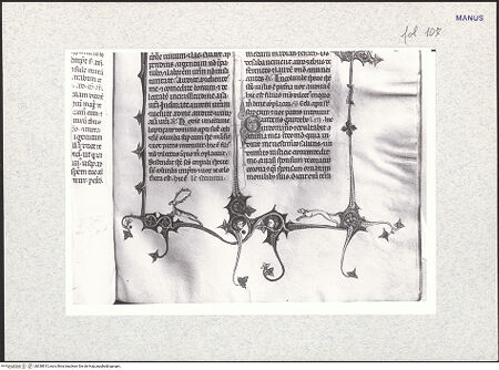 Vorderseite von bh338815_recto