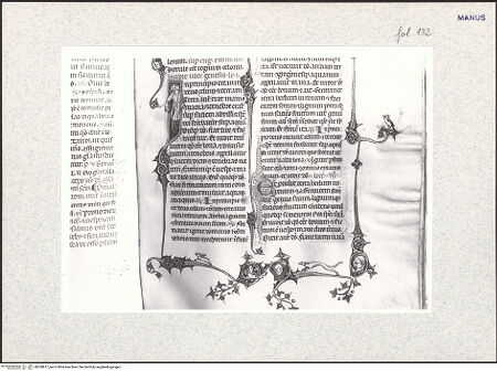 Vorderseite von bh338817_recto