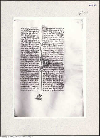 Vorderseite von bh338819_recto