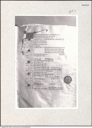 Vorderseite von bh338821_recto