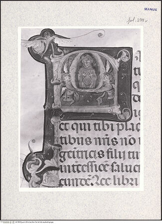 Vorderseite von bh338828_recto