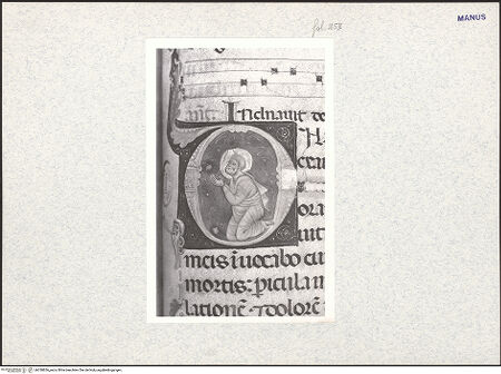 Vorderseite von bh338836_recto