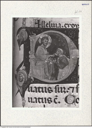 Vorderseite von bh338838_recto