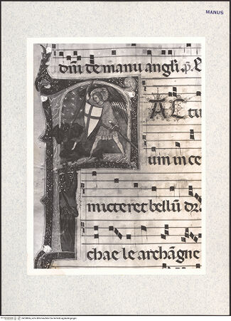 Vorderseite von bh338866_recto