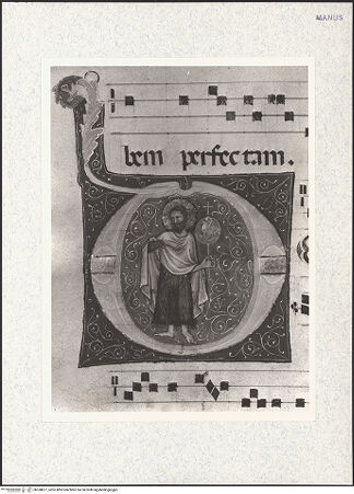 Vorderseite von bh338877_recto