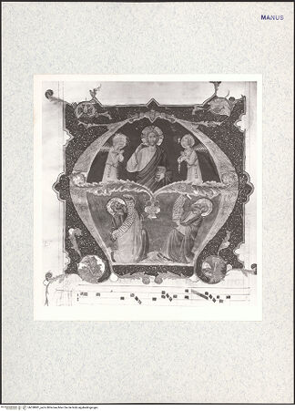 Vorderseite von bh338881_recto