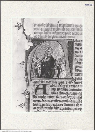 Vorderseite von bh338905_recto