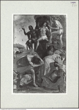 Vorderseite von bh338985_recto