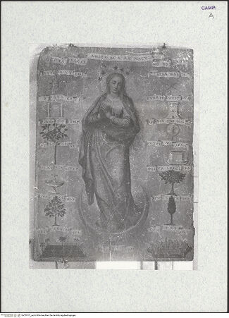 Vorderseite von Alparone, Giuseppe (Napoli) [https://www.deutsche-digitale-bibliothek.de/content/lizenzen/rv-ez/] Maria Immaculata - Gesamtansicht, bh339115_recto. Foto: Alparone, Giuseppe.