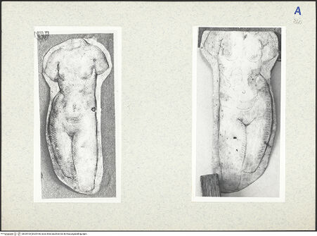 Vorderseite von bh339165_bh339166_recto