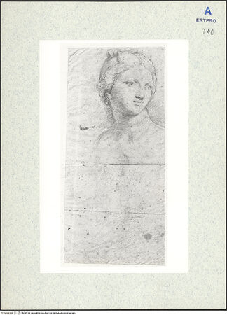 Vorderseite von bh339185_recto