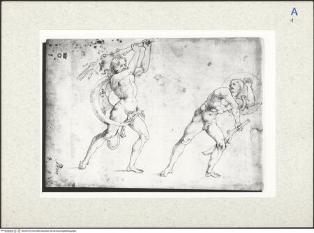 Vorderseite von bh339193_recto