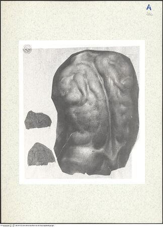 Vorderseite von bh339194_recto