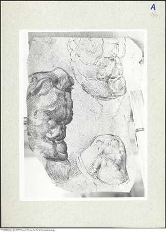 Vorderseite von bh339195_recto