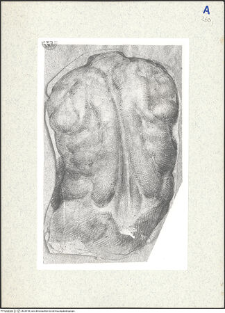 Vorderseite von bh339196_recto