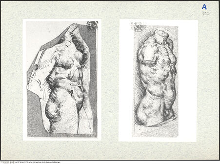 Vorderseite von bh339198_bh339199_recto