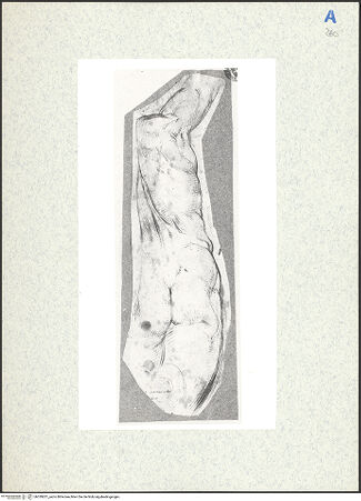 Vorderseite von bh339201_recto