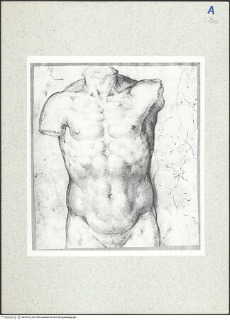 Vorderseite von bh339210_recto