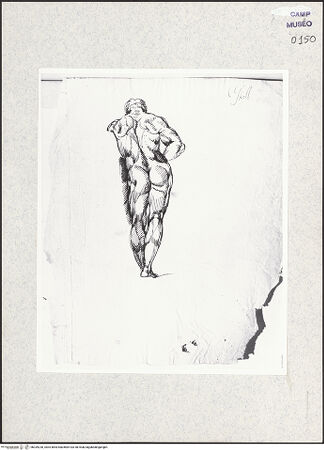 Vorderseite von bh339230_recto