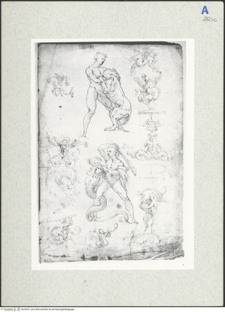 Vorderseite von bh339237_recto