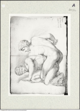 Vorderseite von bh339282_recto