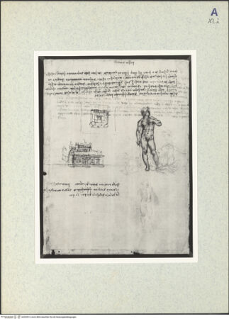 Vorderseite von bh339513_recto